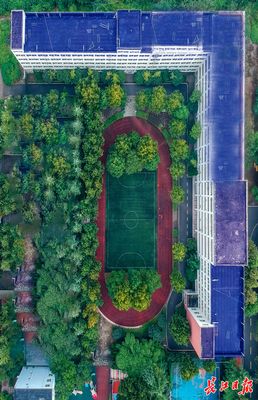 大學生航拍“數字校園”倒計時向祖國致敬