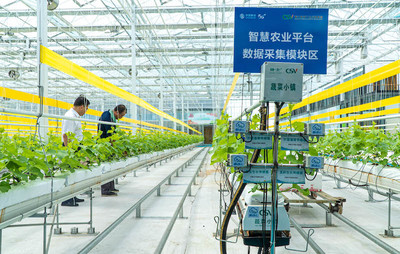 從中國移動2022年上半年財報透視移動云發展“引力”