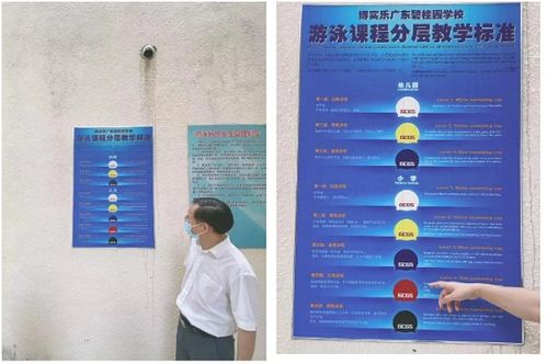 創下數個ib第一的學校竟藏在順德 我被 廣東碧桂園學校 震驚了