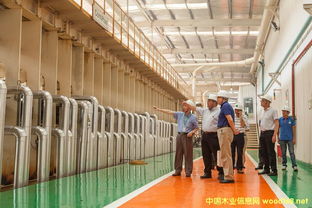 德勝（蘇州）洋樓創始人聶圣哲先生到訪豐林集團，共話數字校園建設新篇章